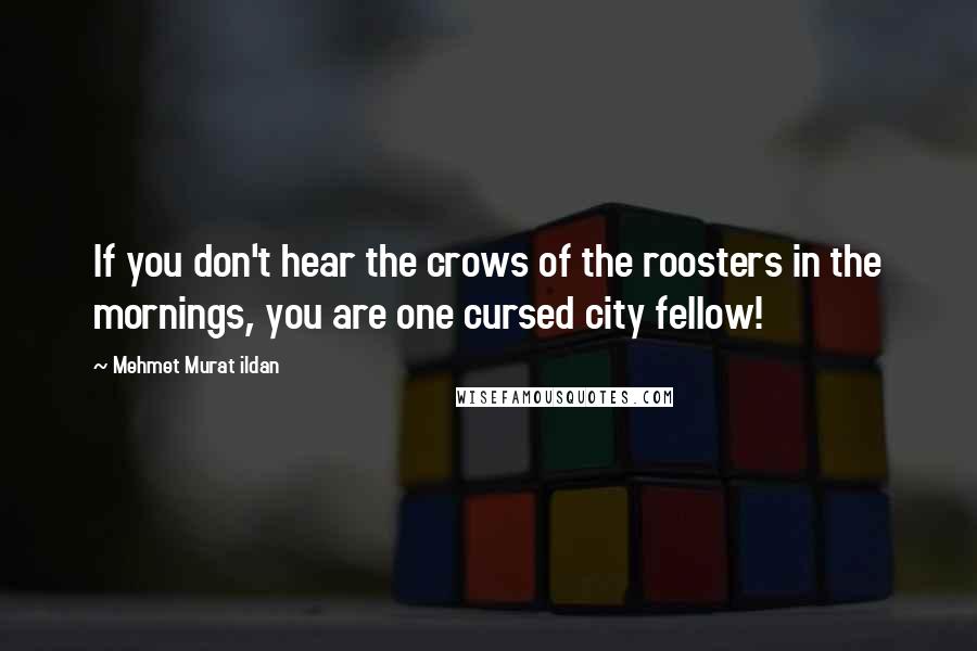 Mehmet Murat Ildan Quotes: If you don't hear the crows of the roosters in the mornings, you are one cursed city fellow!