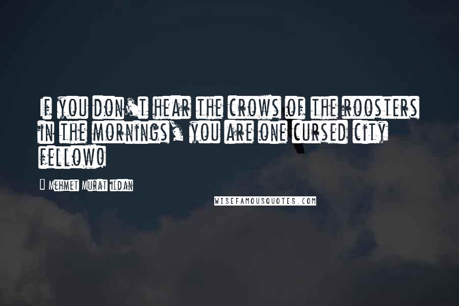 Mehmet Murat Ildan Quotes: If you don't hear the crows of the roosters in the mornings, you are one cursed city fellow!