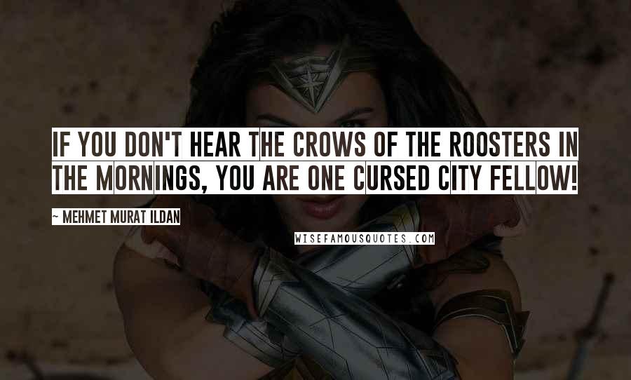 Mehmet Murat Ildan Quotes: If you don't hear the crows of the roosters in the mornings, you are one cursed city fellow!