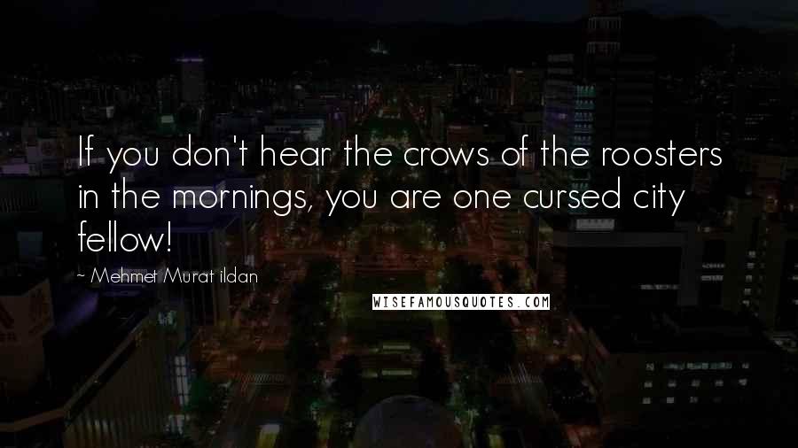 Mehmet Murat Ildan Quotes: If you don't hear the crows of the roosters in the mornings, you are one cursed city fellow!