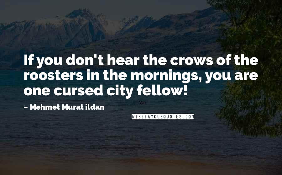 Mehmet Murat Ildan Quotes: If you don't hear the crows of the roosters in the mornings, you are one cursed city fellow!