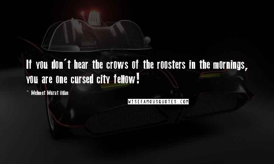 Mehmet Murat Ildan Quotes: If you don't hear the crows of the roosters in the mornings, you are one cursed city fellow!