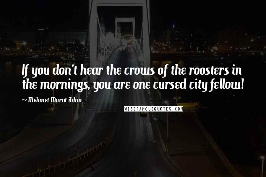 Mehmet Murat Ildan Quotes: If you don't hear the crows of the roosters in the mornings, you are one cursed city fellow!