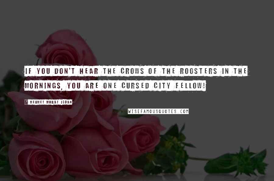 Mehmet Murat Ildan Quotes: If you don't hear the crows of the roosters in the mornings, you are one cursed city fellow!
