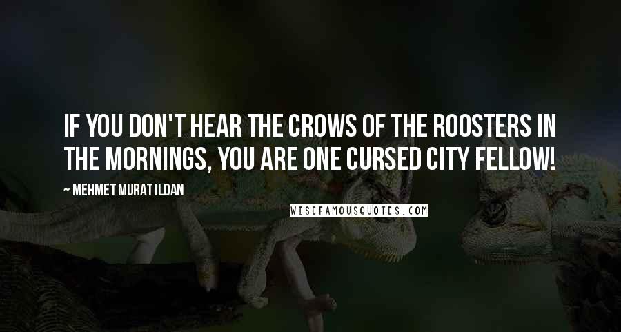 Mehmet Murat Ildan Quotes: If you don't hear the crows of the roosters in the mornings, you are one cursed city fellow!