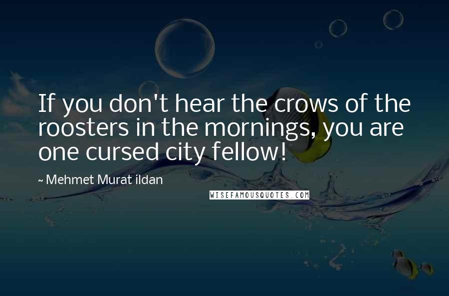 Mehmet Murat Ildan Quotes: If you don't hear the crows of the roosters in the mornings, you are one cursed city fellow!