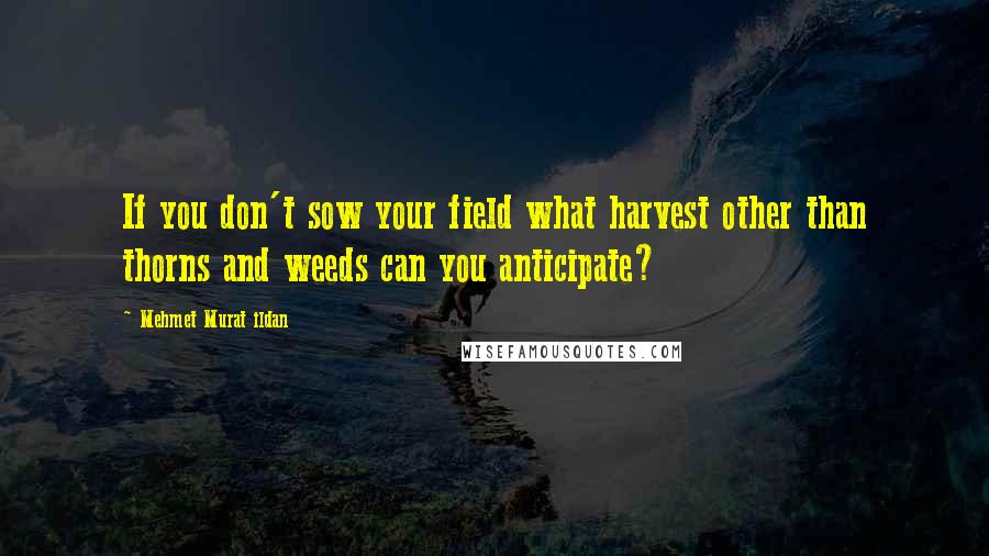 Mehmet Murat Ildan Quotes: If you don't sow your field what harvest other than thorns and weeds can you anticipate?