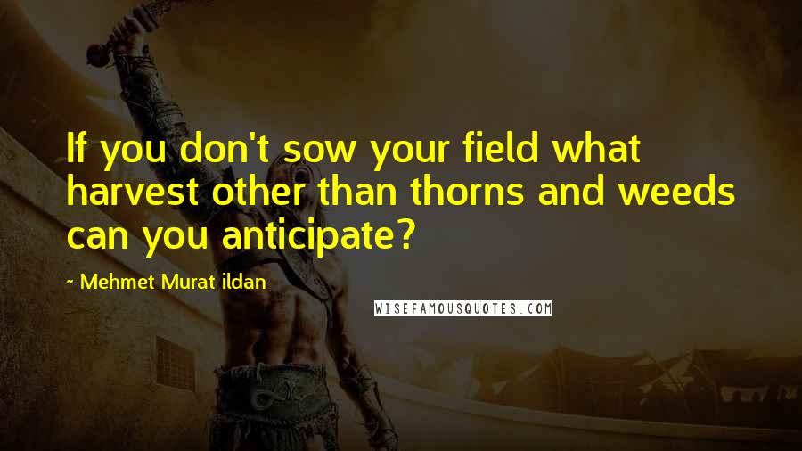 Mehmet Murat Ildan Quotes: If you don't sow your field what harvest other than thorns and weeds can you anticipate?