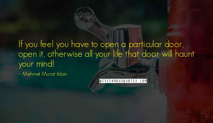 Mehmet Murat Ildan Quotes: If you feel you have to open a particular door, open it, otherwise all your life that door will haunt your mind!