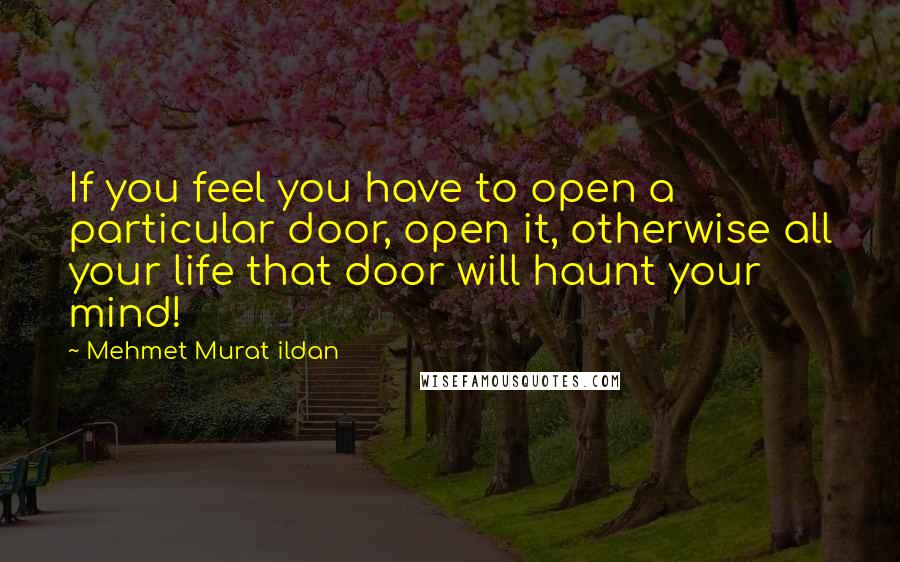 Mehmet Murat Ildan Quotes: If you feel you have to open a particular door, open it, otherwise all your life that door will haunt your mind!
