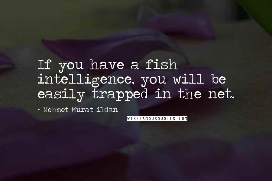 Mehmet Murat Ildan Quotes: If you have a fish intelligence, you will be easily trapped in the net.