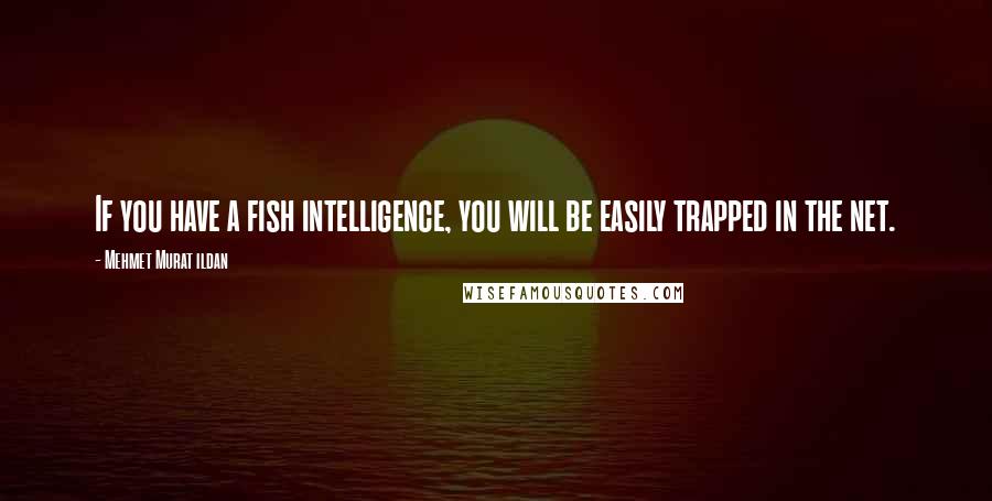 Mehmet Murat Ildan Quotes: If you have a fish intelligence, you will be easily trapped in the net.