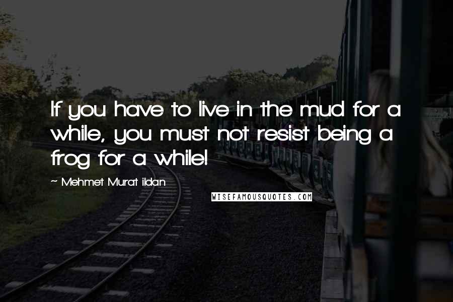 Mehmet Murat Ildan Quotes: If you have to live in the mud for a while, you must not resist being a frog for a while!