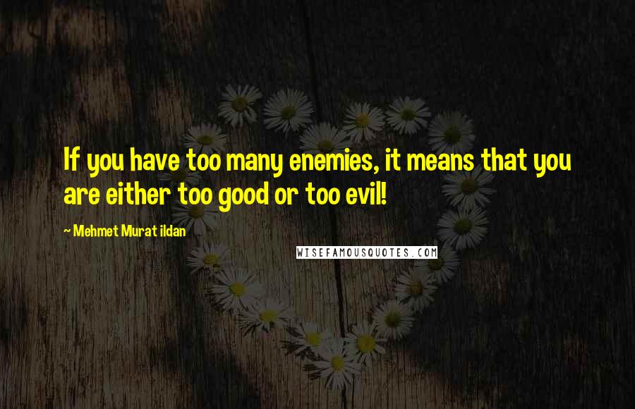 Mehmet Murat Ildan Quotes: If you have too many enemies, it means that you are either too good or too evil!