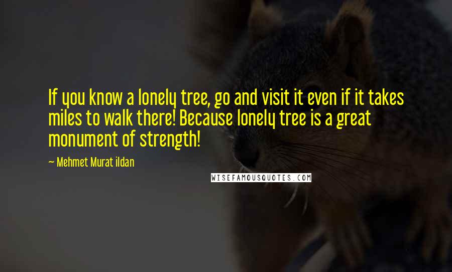 Mehmet Murat Ildan Quotes: If you know a lonely tree, go and visit it even if it takes miles to walk there! Because lonely tree is a great monument of strength!