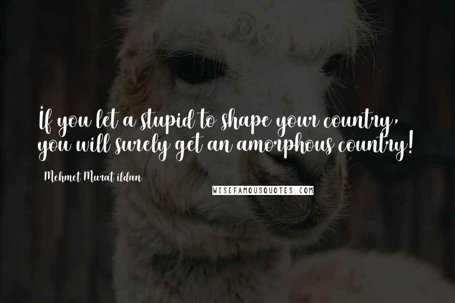 Mehmet Murat Ildan Quotes: If you let a stupid to shape your country, you will surely get an amorphous country!