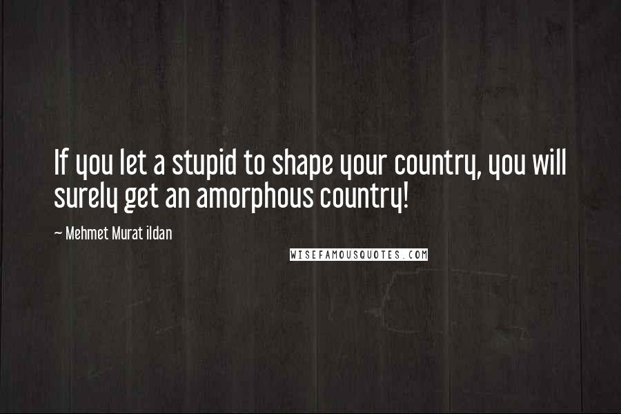 Mehmet Murat Ildan Quotes: If you let a stupid to shape your country, you will surely get an amorphous country!