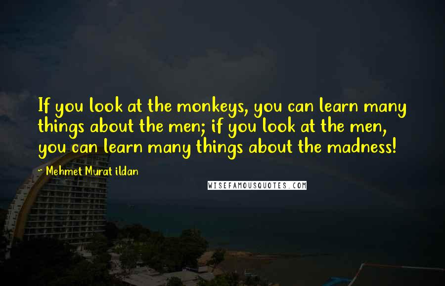 Mehmet Murat Ildan Quotes: If you look at the monkeys, you can learn many things about the men; if you look at the men, you can learn many things about the madness!