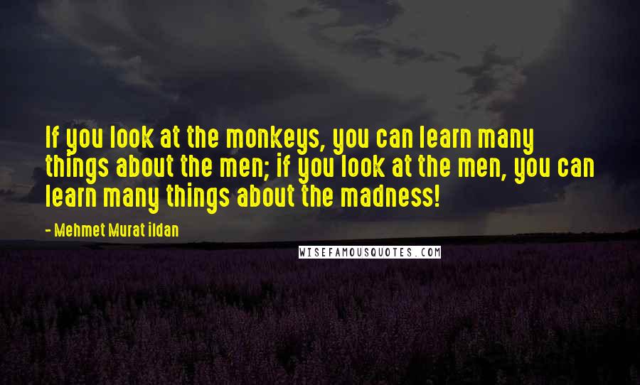 Mehmet Murat Ildan Quotes: If you look at the monkeys, you can learn many things about the men; if you look at the men, you can learn many things about the madness!