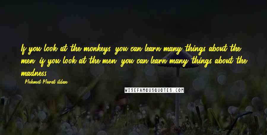 Mehmet Murat Ildan Quotes: If you look at the monkeys, you can learn many things about the men; if you look at the men, you can learn many things about the madness!