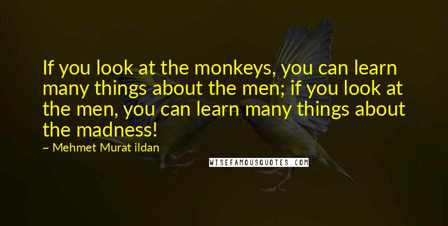 Mehmet Murat Ildan Quotes: If you look at the monkeys, you can learn many things about the men; if you look at the men, you can learn many things about the madness!