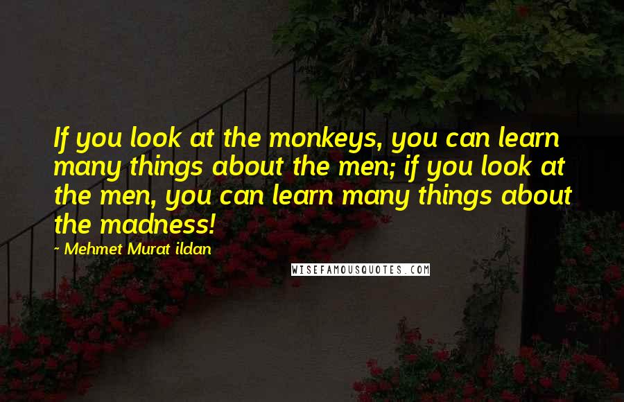 Mehmet Murat Ildan Quotes: If you look at the monkeys, you can learn many things about the men; if you look at the men, you can learn many things about the madness!