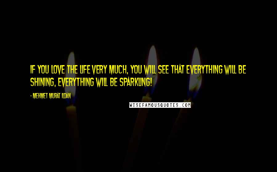 Mehmet Murat Ildan Quotes: If you love the life very much, you will see that everything will be shining, everything will be sparkling!