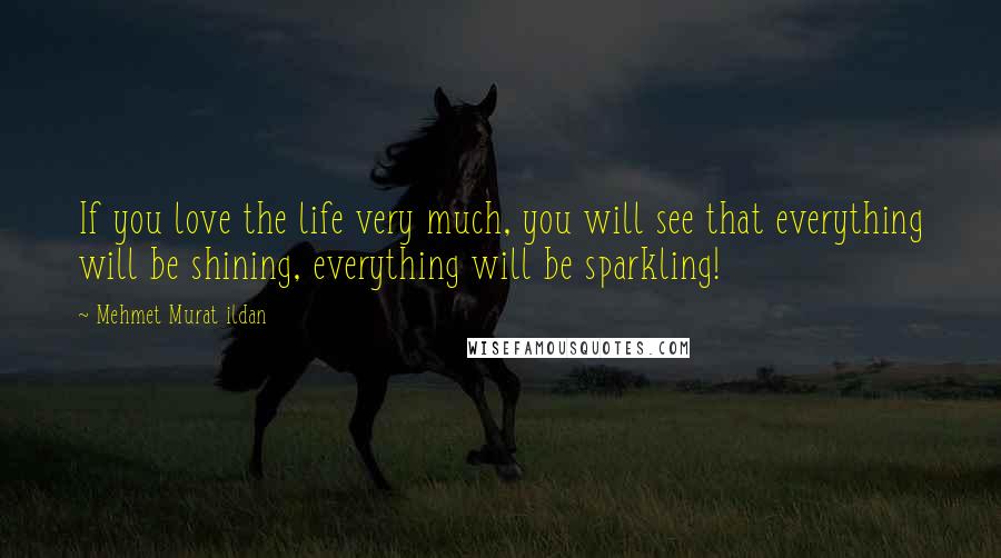 Mehmet Murat Ildan Quotes: If you love the life very much, you will see that everything will be shining, everything will be sparkling!