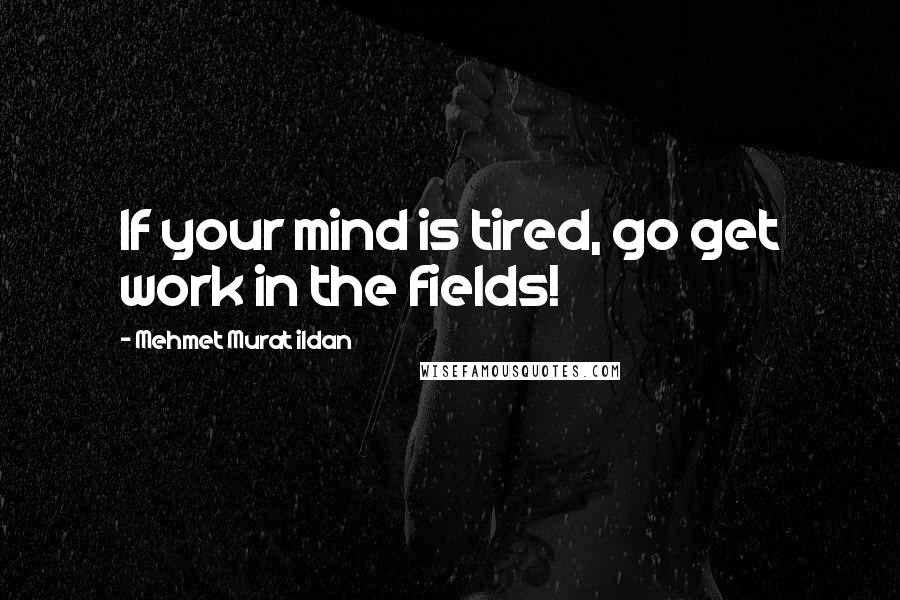 Mehmet Murat Ildan Quotes: If your mind is tired, go get work in the fields!