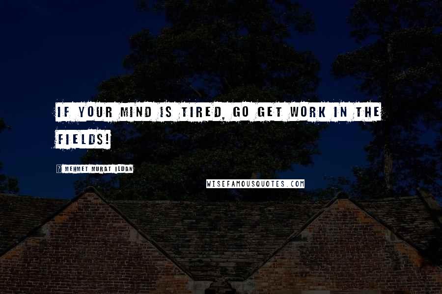 Mehmet Murat Ildan Quotes: If your mind is tired, go get work in the fields!