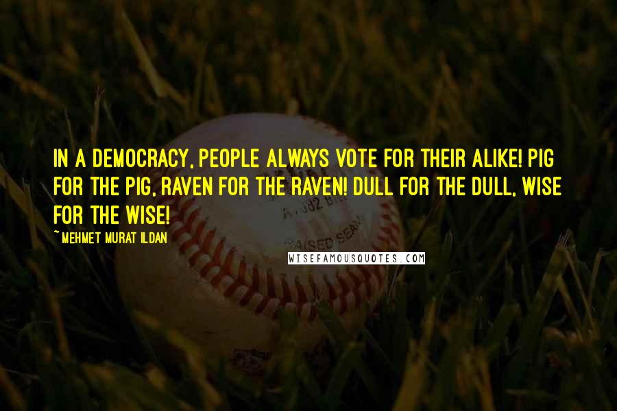 Mehmet Murat Ildan Quotes: In a democracy, people always vote for their alike! Pig for the pig, raven for the raven! Dull for the dull, wise for the wise!