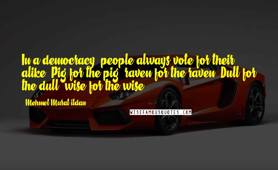 Mehmet Murat Ildan Quotes: In a democracy, people always vote for their alike! Pig for the pig, raven for the raven! Dull for the dull, wise for the wise!