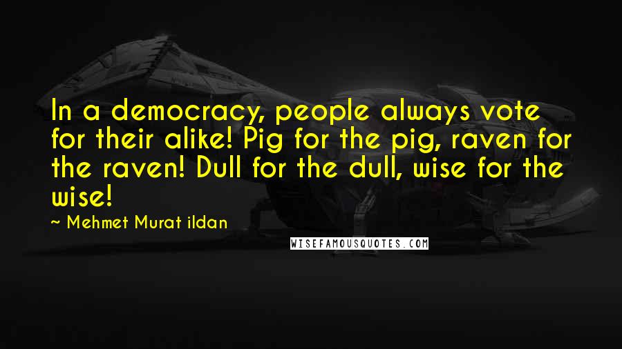 Mehmet Murat Ildan Quotes: In a democracy, people always vote for their alike! Pig for the pig, raven for the raven! Dull for the dull, wise for the wise!