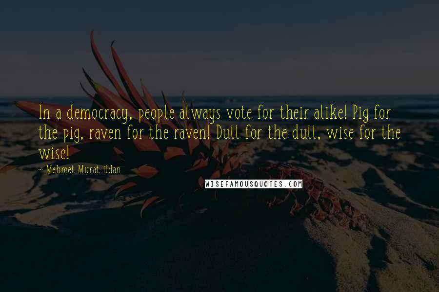 Mehmet Murat Ildan Quotes: In a democracy, people always vote for their alike! Pig for the pig, raven for the raven! Dull for the dull, wise for the wise!