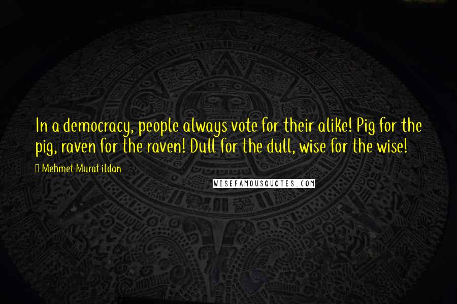 Mehmet Murat Ildan Quotes: In a democracy, people always vote for their alike! Pig for the pig, raven for the raven! Dull for the dull, wise for the wise!