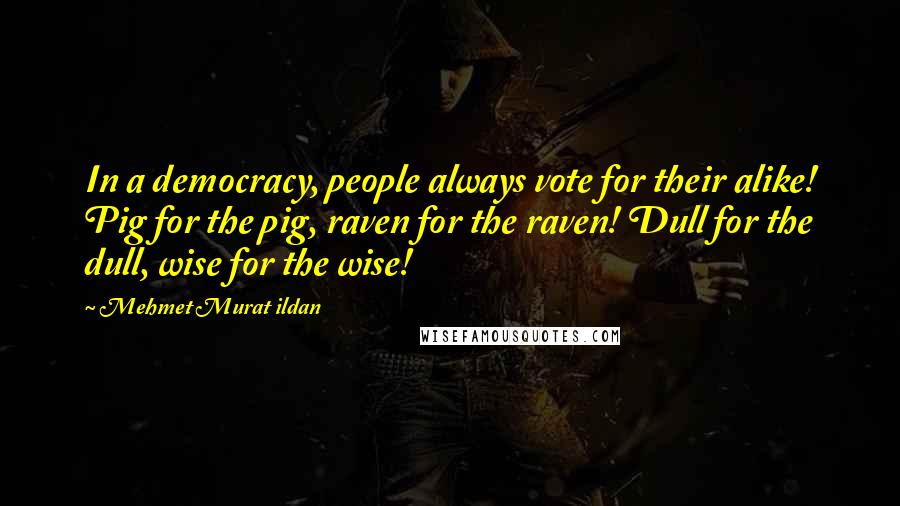 Mehmet Murat Ildan Quotes: In a democracy, people always vote for their alike! Pig for the pig, raven for the raven! Dull for the dull, wise for the wise!