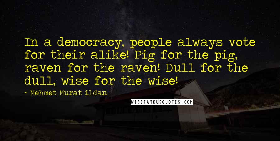 Mehmet Murat Ildan Quotes: In a democracy, people always vote for their alike! Pig for the pig, raven for the raven! Dull for the dull, wise for the wise!