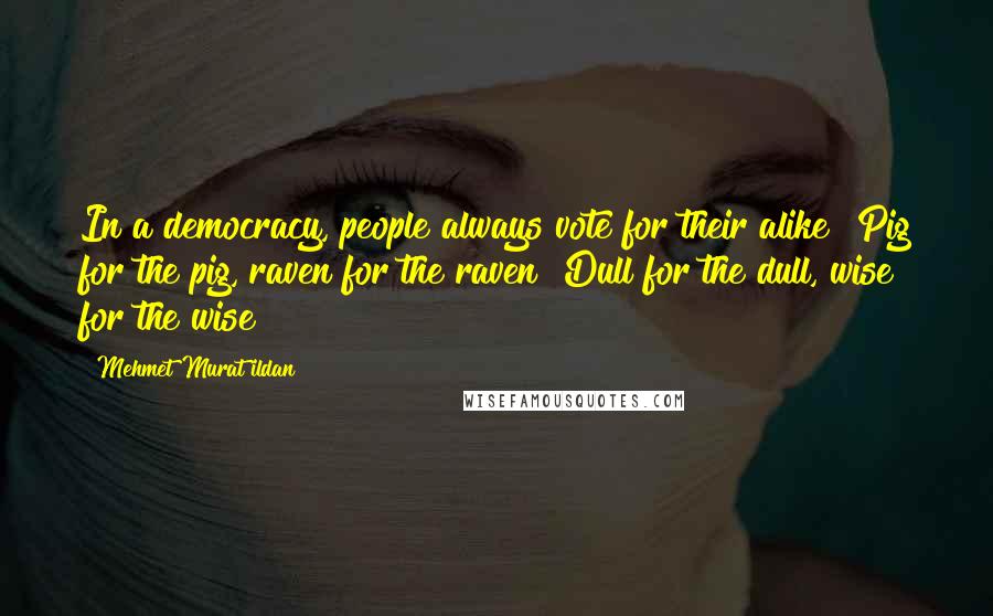 Mehmet Murat Ildan Quotes: In a democracy, people always vote for their alike! Pig for the pig, raven for the raven! Dull for the dull, wise for the wise!