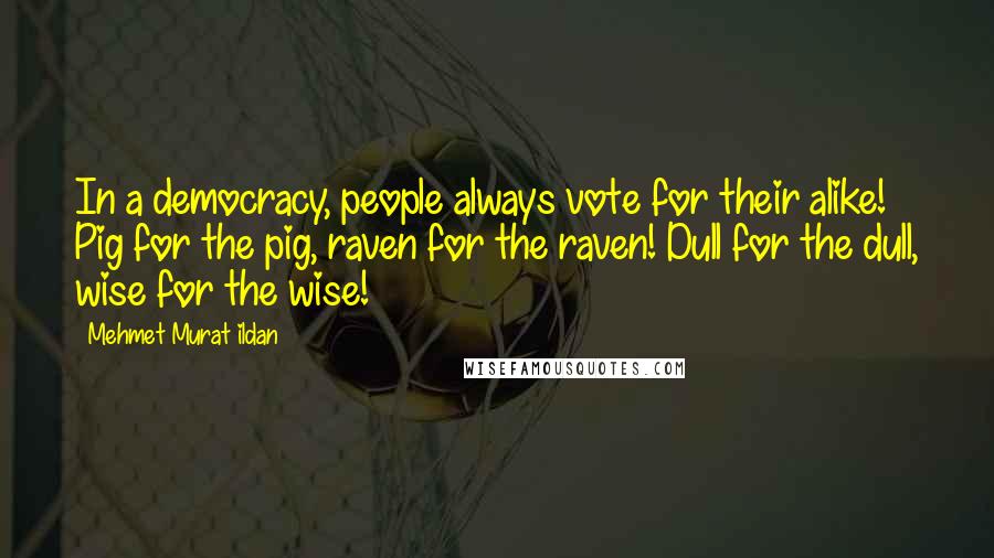 Mehmet Murat Ildan Quotes: In a democracy, people always vote for their alike! Pig for the pig, raven for the raven! Dull for the dull, wise for the wise!