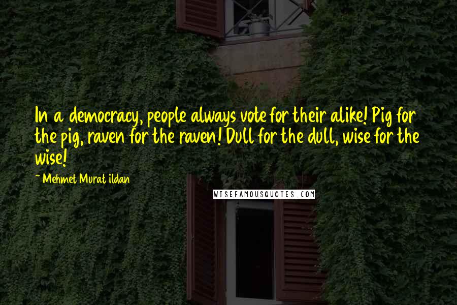 Mehmet Murat Ildan Quotes: In a democracy, people always vote for their alike! Pig for the pig, raven for the raven! Dull for the dull, wise for the wise!