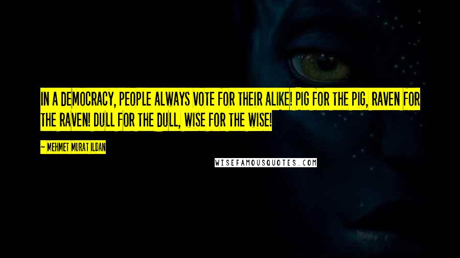 Mehmet Murat Ildan Quotes: In a democracy, people always vote for their alike! Pig for the pig, raven for the raven! Dull for the dull, wise for the wise!