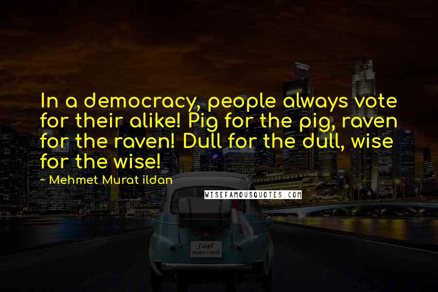 Mehmet Murat Ildan Quotes: In a democracy, people always vote for their alike! Pig for the pig, raven for the raven! Dull for the dull, wise for the wise!