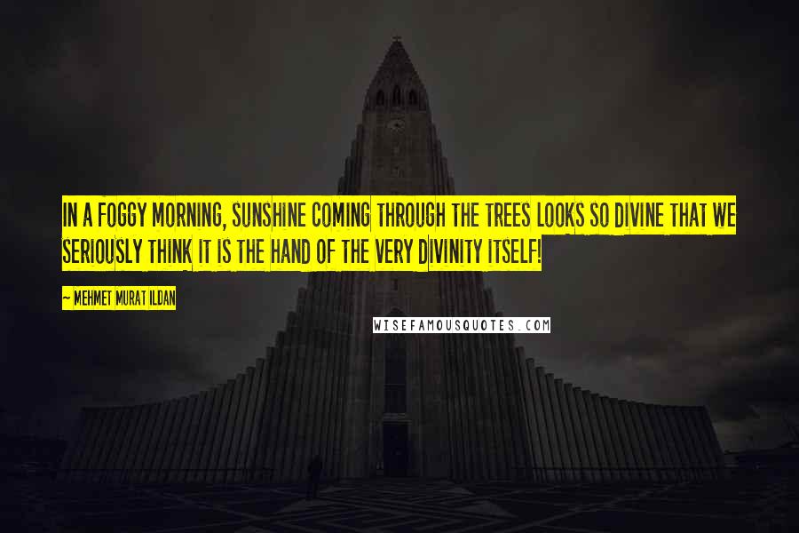 Mehmet Murat Ildan Quotes: In a foggy morning, sunshine coming through the trees looks so divine that we seriously think it is the hand of the very divinity itself!