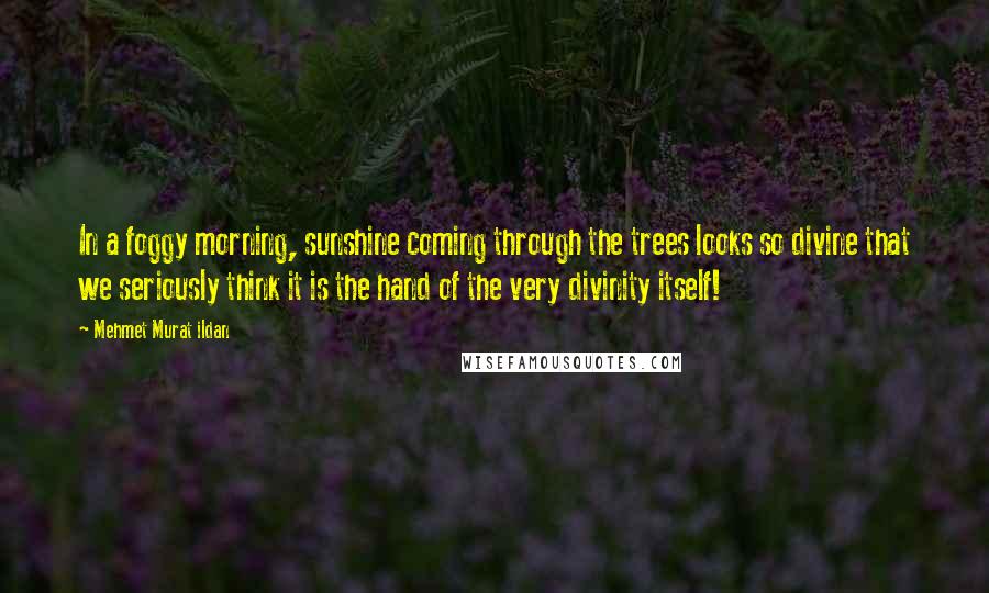 Mehmet Murat Ildan Quotes: In a foggy morning, sunshine coming through the trees looks so divine that we seriously think it is the hand of the very divinity itself!