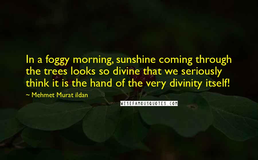 Mehmet Murat Ildan Quotes: In a foggy morning, sunshine coming through the trees looks so divine that we seriously think it is the hand of the very divinity itself!