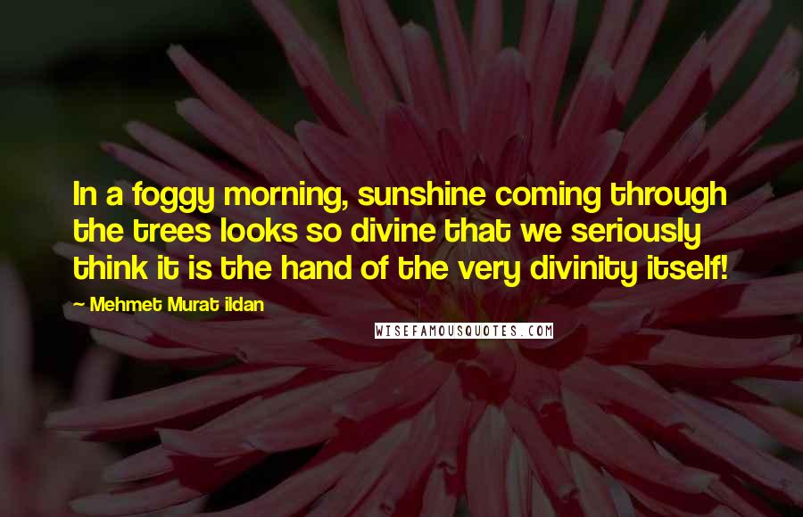 Mehmet Murat Ildan Quotes: In a foggy morning, sunshine coming through the trees looks so divine that we seriously think it is the hand of the very divinity itself!