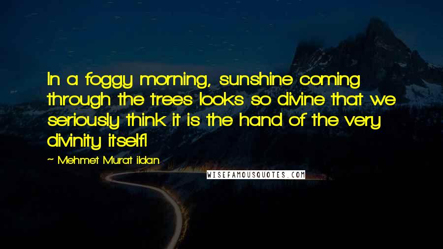 Mehmet Murat Ildan Quotes: In a foggy morning, sunshine coming through the trees looks so divine that we seriously think it is the hand of the very divinity itself!