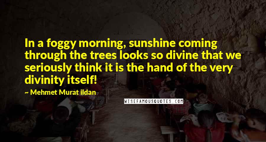 Mehmet Murat Ildan Quotes: In a foggy morning, sunshine coming through the trees looks so divine that we seriously think it is the hand of the very divinity itself!