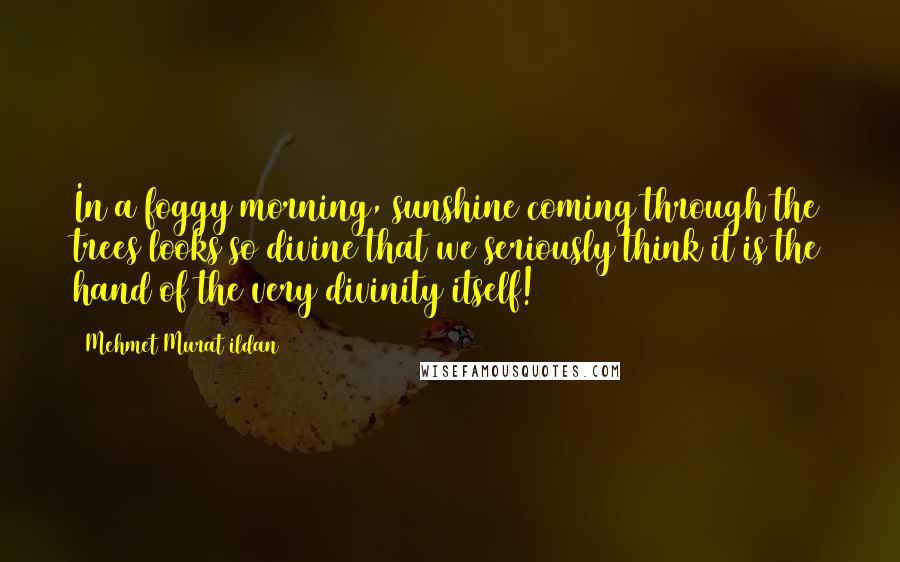 Mehmet Murat Ildan Quotes: In a foggy morning, sunshine coming through the trees looks so divine that we seriously think it is the hand of the very divinity itself!