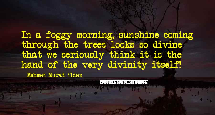 Mehmet Murat Ildan Quotes: In a foggy morning, sunshine coming through the trees looks so divine that we seriously think it is the hand of the very divinity itself!